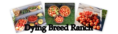 Dying Breed Ranch 2