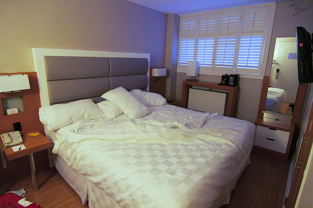Bed bugs are often picked up in hotels and other holiday accommodation. Image