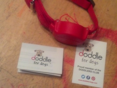Doddle for Dogs Combining Collar and Leash Giveaway