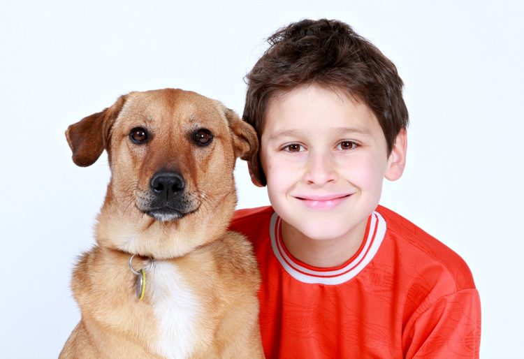 “Can We Keep Him?” What to do When the Kids Want a Family Pet