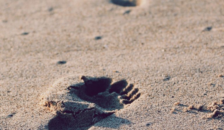 Tips to Raise Our Future Generations