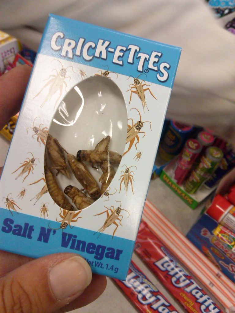 Salt and Vinegar Cricketts