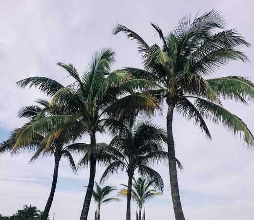 Moving to Fort Myers: What to Know About the Schools