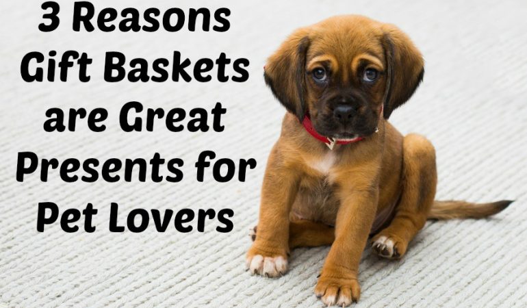 3 Reasons Gift Baskets are Great Presents for Pet Lovers