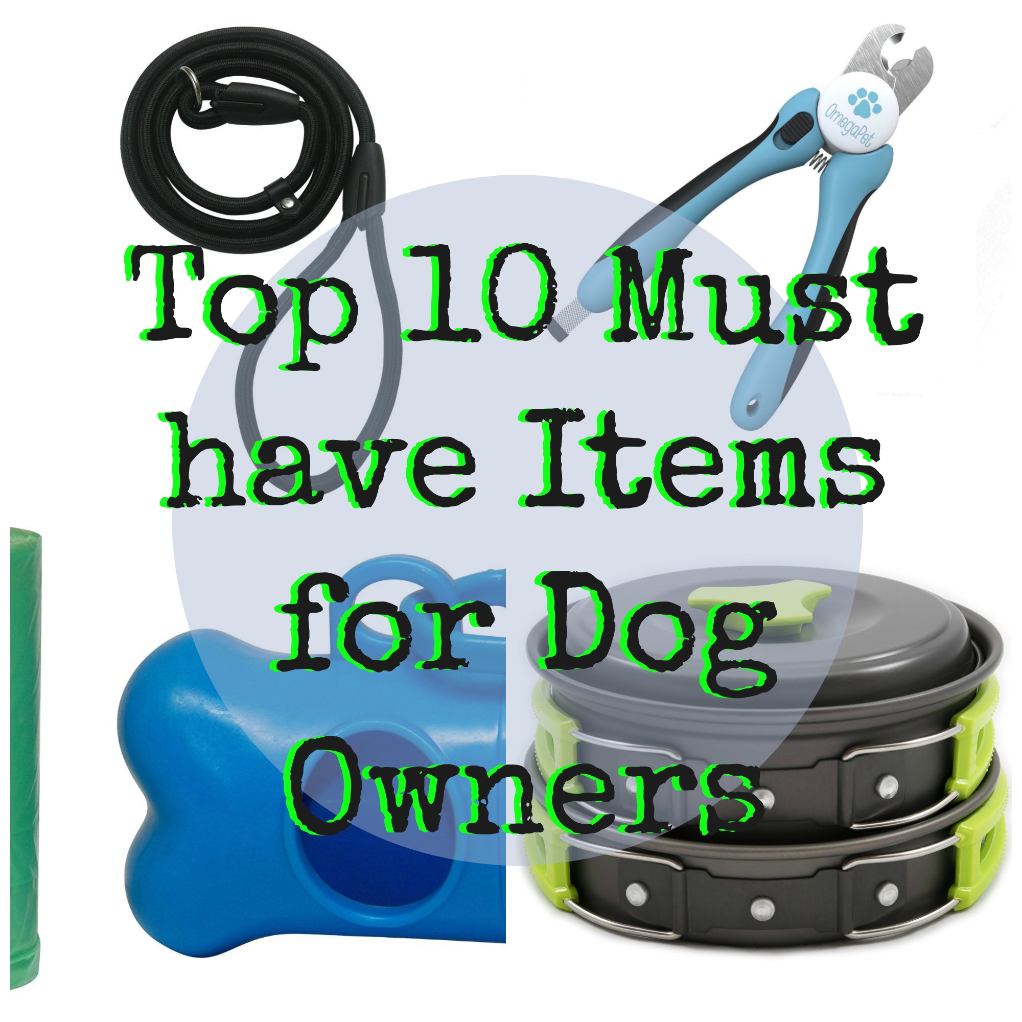 Top 10 Must have Items for Dog Owners