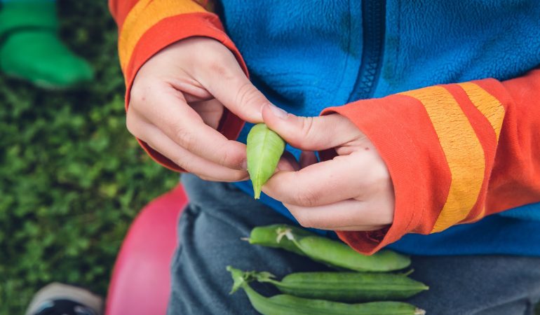 The Family Garden: Food For Your Child’s Soul