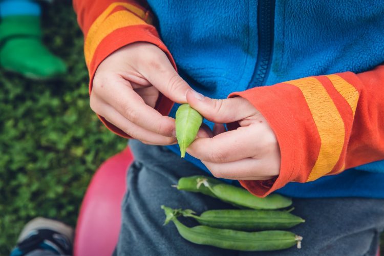 The Family Garden: Food For Your Child’s Soul