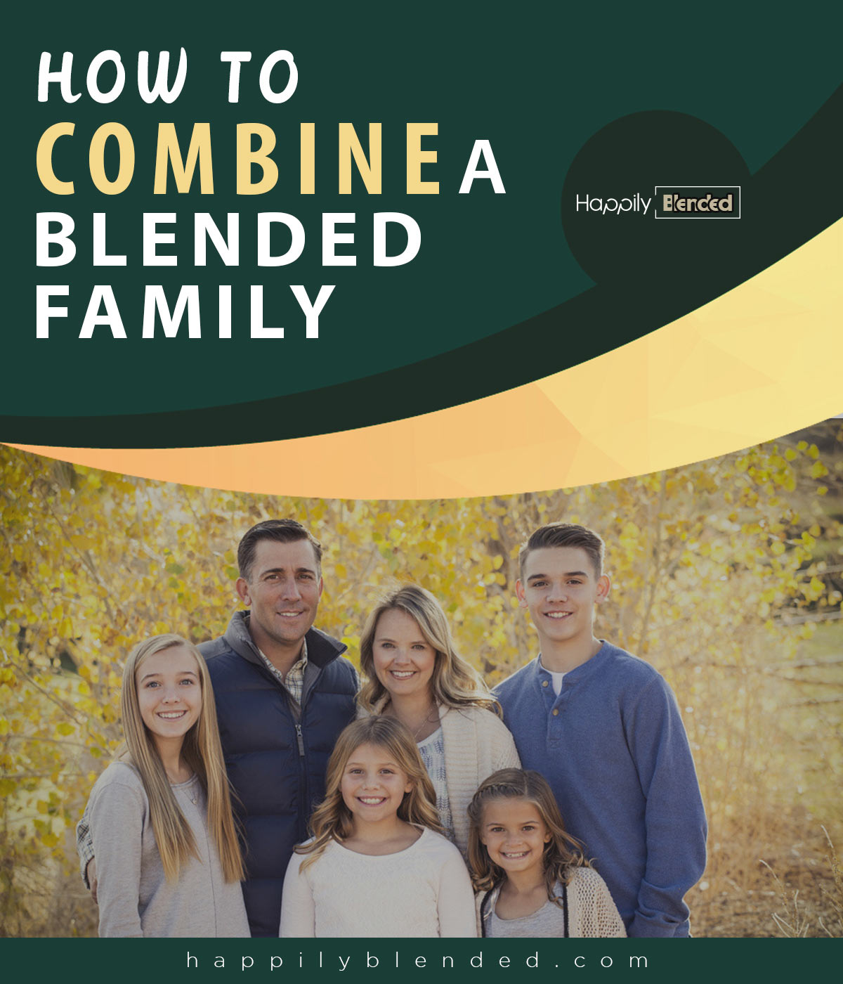 Combine-a-Blended-Family