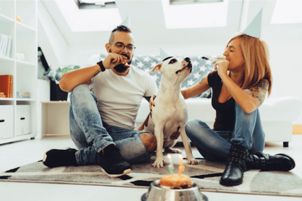 5 Best Birthday Gifts for Dogs (And Their Owners!)